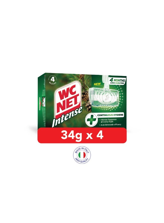 WC Net Toilet Blocks Intense Mountain Fresh 34gx4